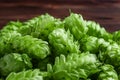 Beer brewing ingredients, hops,on a wooden cracked old table in front of hops plantation. Beer brewery concept Royalty Free Stock Photo