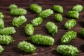 Beer brewing ingredients, hops,on a wooden cracked old table in front of hops plantation. Beer brewery concept