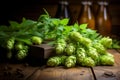 Beer brewing ingredients, hops on a wooden cracked old table in front of hops plantation Royalty Free Stock Photo