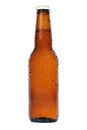 Beer brown bottle Royalty Free Stock Photo