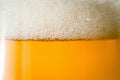 Craft Beer Glass with Bubble Froth Close Up, Refreshing Cold Drink Background