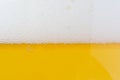 Beer bubbles Royalty Free Stock Photo