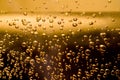 Beer bubbles Royalty Free Stock Photo