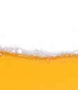 Beer bubbles background with realistic white foam