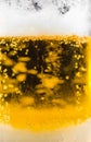 Beer Bubbles Close Up Royalty Free Stock Photo