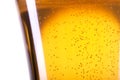 Beer Bubbles closeup Royalty Free Stock Photo