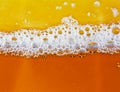 Beer bubbles closeup in golden colors Royalty Free Stock Photo