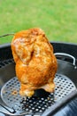 Beer Can Chicken Royalty Free Stock Photo
