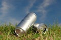 Beer cans in the grass