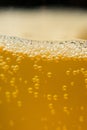 beer carbonation bubbles up close