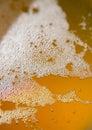 beer carbonation bubbles up close