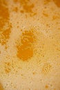 beer carbonation bubbles up close