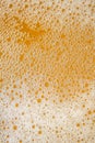 beer carbonation bubbles up close