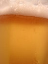 Beer closeup Royalty Free Stock Photo