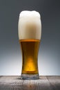 Cold Craft light Beer in a glass. Close up of a pint of beer Royalty Free Stock Photo