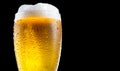 Beer. Cold Craft light Beer in a glass with water drops. Pint of Beer close up isolated on black color background Royalty Free Stock Photo