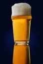 Beer. Cold Craft light Beer in a glass with water drops. Pint of Beer close up on dark background. Border design Royalty Free Stock Photo