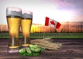Beer consumption in Canada. 3D render