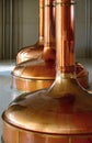 Beer copper fermentation vats