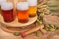 Beer crate with beer glasses Royalty Free Stock Photo