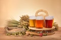Beer crate with beer glasses Royalty Free Stock Photo