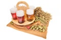 Beer crate with beer glasses Royalty Free Stock Photo