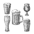 beer cup glass set sketch hand drawn vector Royalty Free Stock Photo