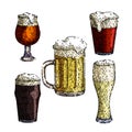 beer cup glass set sketch hand drawn vector Royalty Free Stock Photo