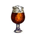 beer cup glass sketch hand drawn vector Royalty Free Stock Photo