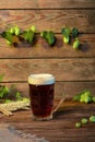 Beer dark lager, brown ale on wooden table in bar or pub Royalty Free Stock Photo