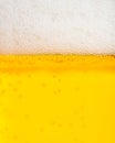 Beer: Detailed section of the foam crown Royalty Free Stock Photo