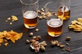 Beer draft business. Unfinished glass of beer and bottle with drink, around are peanuts, chips and nachos Royalty Free Stock Photo