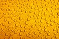 Beer droplets closeup Royalty Free Stock Photo