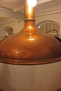 Beer fermentation