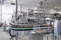 Beer filling in a brewery - conveyor belt with glass bottles