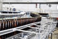 Beer filling in a brewery - conveyor belt with glass bottles