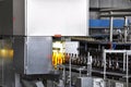 Beer filling in a brewery - conveyor belt with glass bottles