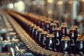 Beer filling in a brewery,conveyor belt with glass bottles Royalty Free Stock Photo