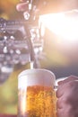 Beer filling up Royalty Free Stock Photo