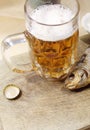 Beer with fish Royalty Free Stock Photo