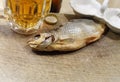 Beer with fish Royalty Free Stock Photo