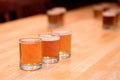 Beer flight tasting at a Brewery