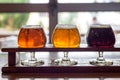 Beer flight in tulip glasses at microbrewery Royalty Free Stock Photo