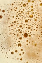 Beer Foam