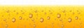 Beer with Foam and Bubbles. Vector Horizontal Background