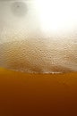 Beer foam texture Royalty Free Stock Photo