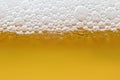 Beer with foam in transparent glass. Macro Royalty Free Stock Photo