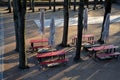 Beer front garden under the crowns of lindens. camping benches and tables with a red plastic surface. beige umbrellas park restaur