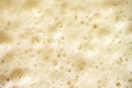 Beer froth Royalty Free Stock Photo