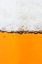 Beer and froth Royalty Free Stock Photo